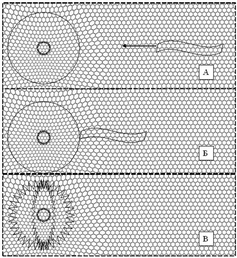 Графическая модель, демонстрирующая процесс преобразования поперечной волны в элементах Предматерии (фотона) в замкнутые стоячие волны–солитоны с колебаниями, имеющими фазовый сдвиг на 180<sup>0</sup>