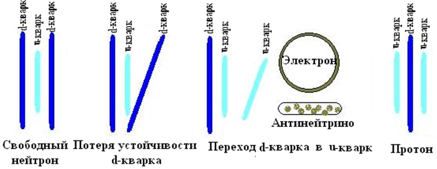 Графическое отображение преобразования свободного нейтрона в протон с высвободжением электрона и антинейтрино Графическое отображение преобразования свободного нейтрона в протон с высвободжением электрона и антинейтрино